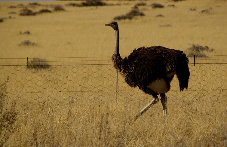 309 Namibia Okt 2006 .JPG